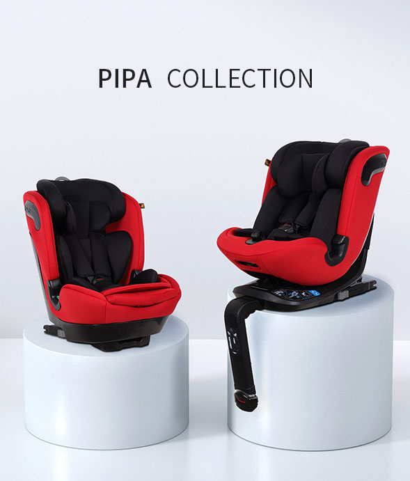 pipa COLLECITON